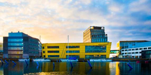 Linnaeus University Cover